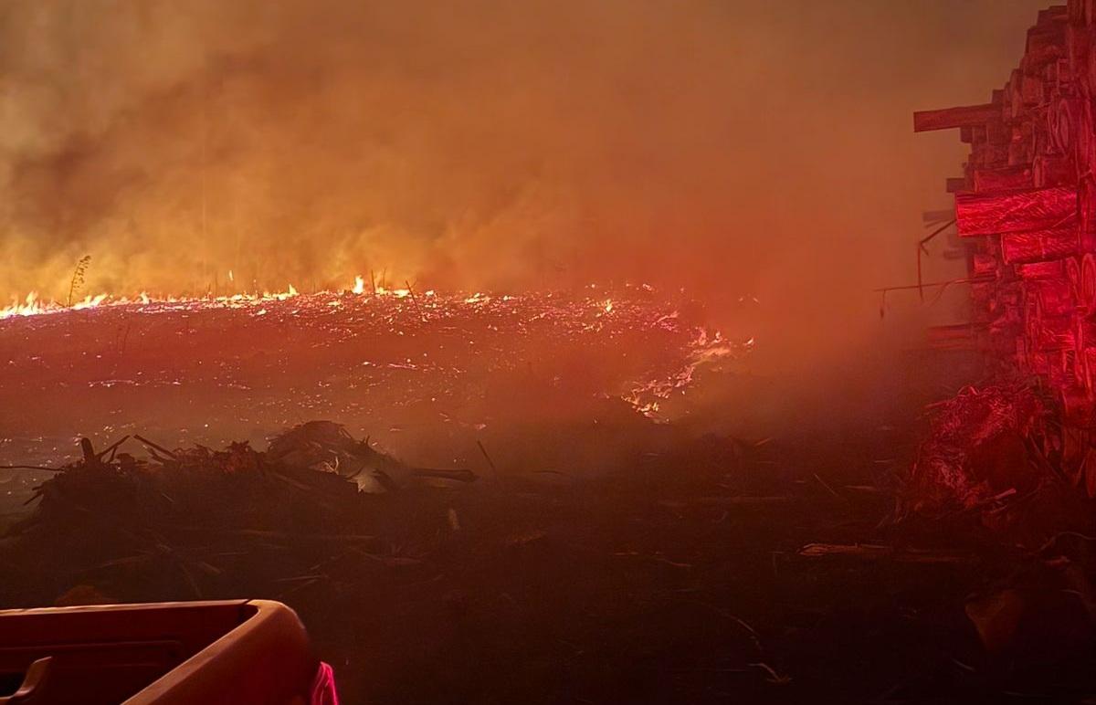 Incêndio em reflorestamento de eucalipto mobiliza guarnição de resgate em Vargem.