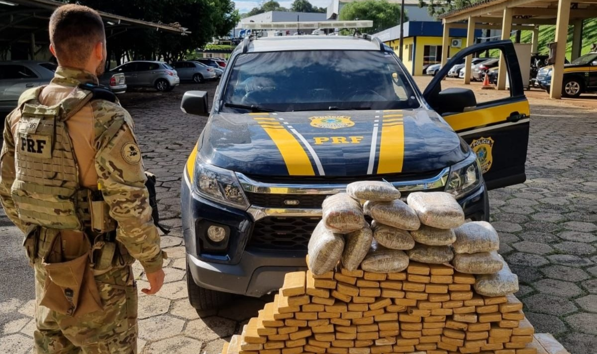 Prejuízo para o crime organizado: Em 36 horas, mais de 660 kg de maconha apreendidos pela PRF em Santa Catarina.