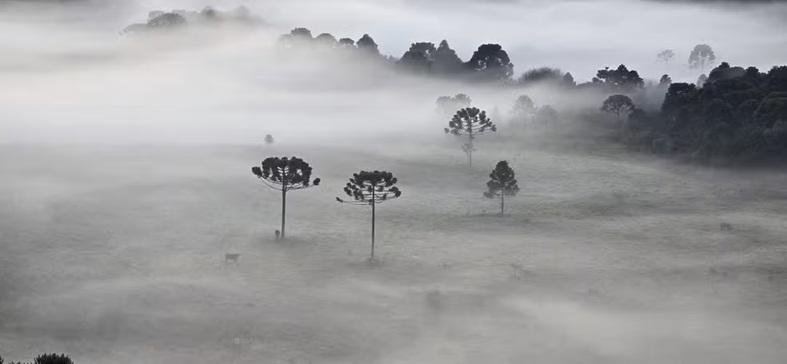 Frio ganha força no Oeste de SC a partir desta semana.