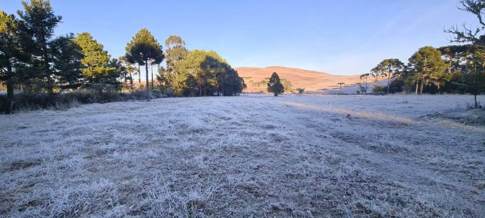 Frio intenso e instabilidade marcam a semana em Santa Catarina.