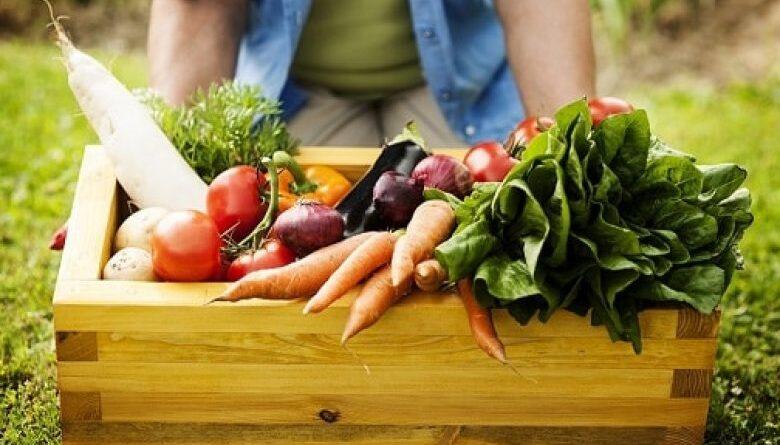 Campos Novos reativa feira “Sabores do Campo” a partir de 2 de agosto.