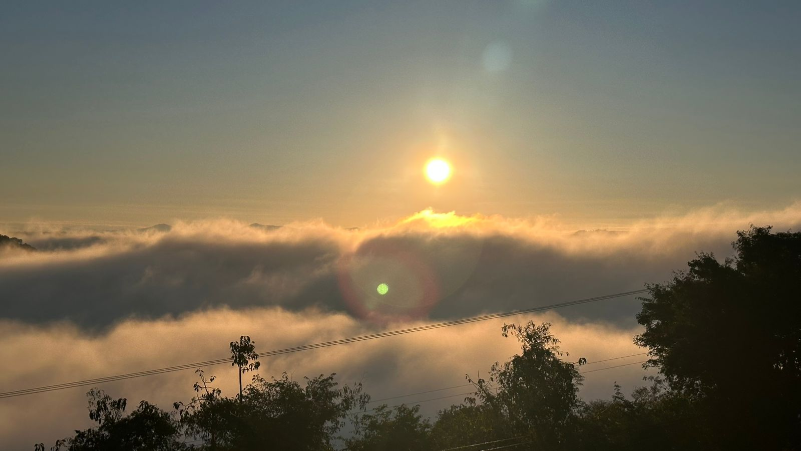 Frio intenso segue até sábado em Santa Catarina com geada e mínimas negativas.