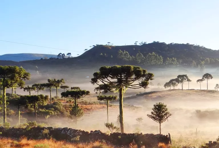 Semana começa com sol e termina com instabilidade em Santa Catarina.
