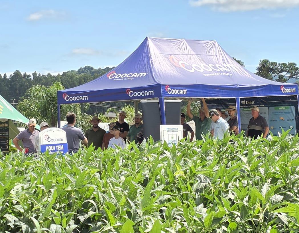 Dias de Campo 2026 reforçam tecnologia e manejo no campo