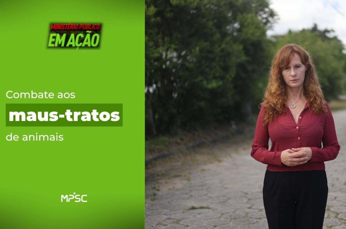 MPSC em Ação: MPSC intensifica campanha de combate aos maus-tratos contra animais