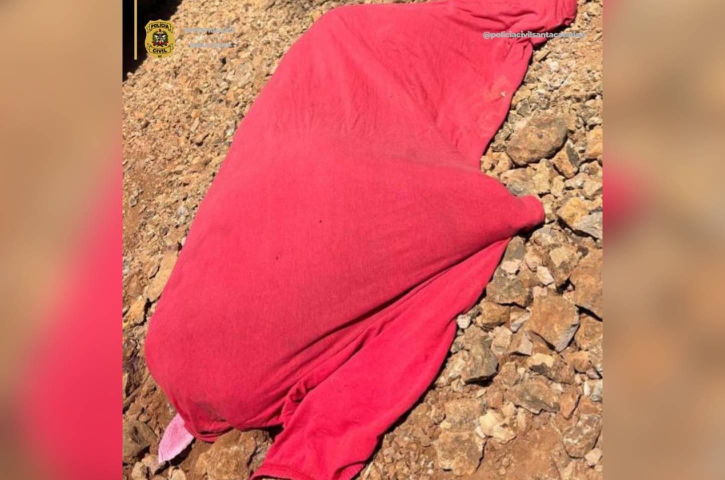 Polícia Civil conclui investigação sobre morte de cão vítima de maus-tratos em Campos Novos