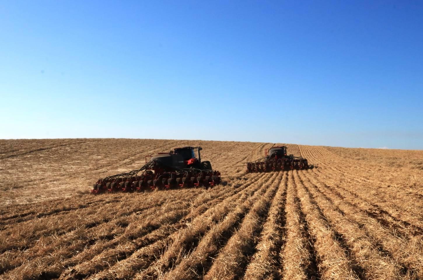 Campos Novos lidera ranking estadual em área de soja