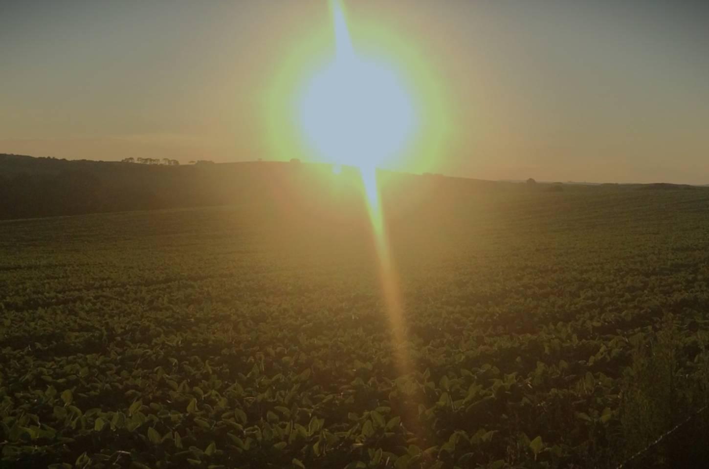 Campos Novos integra a força do 5º maior agronegócio do Brasil
