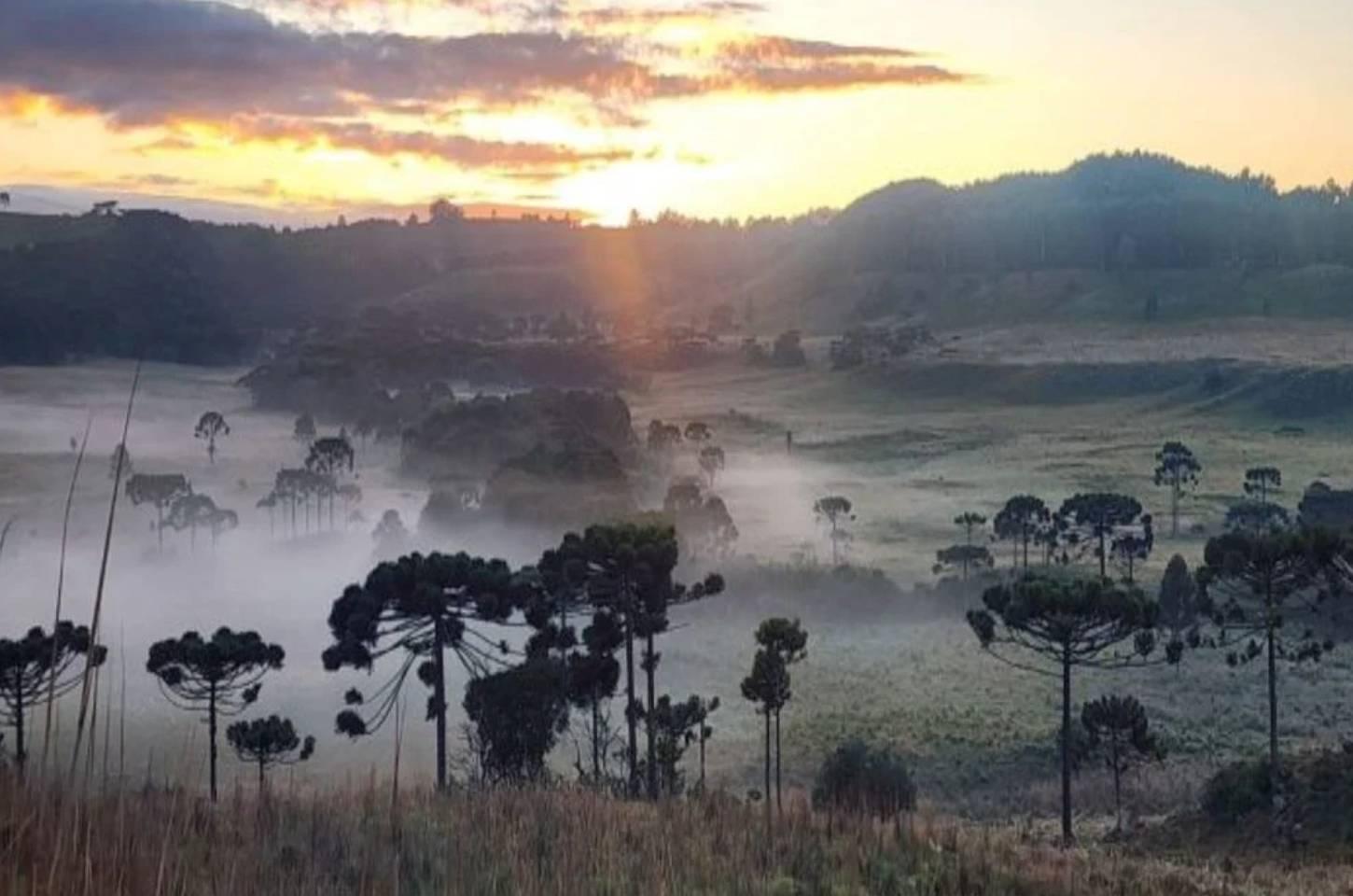 Massa de ar frio derruba temperaturas na Serra catarinense e mantém tempo firme até quinta-feira (18)
