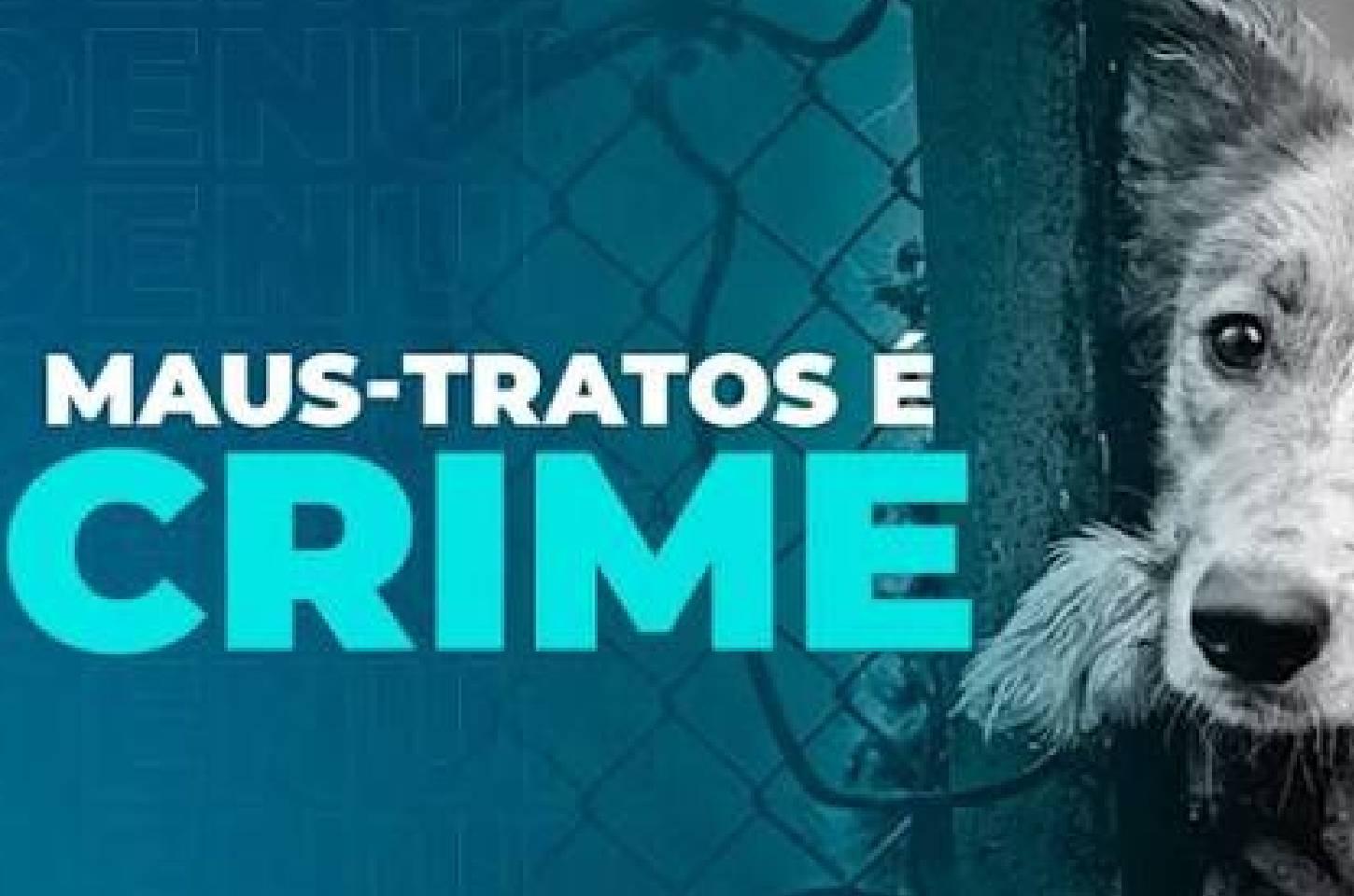 Polícia Militar resgata cães em situação de maus-tratos em Campos Novos