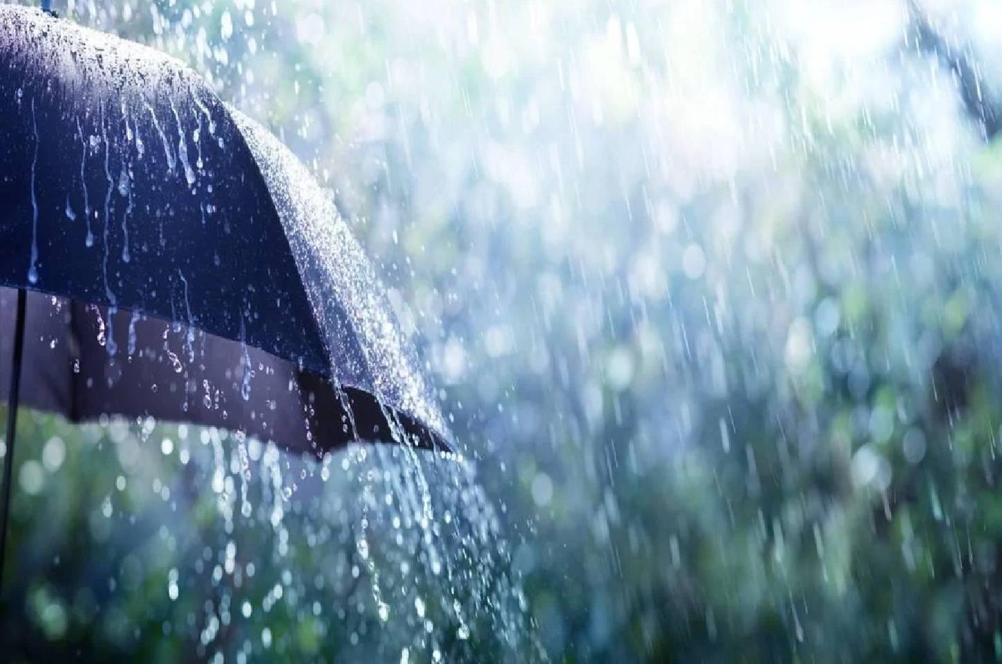 Campos Novos registra 101 mm de chuva em 24 horas; Abdon Batista, Celso Ramos e Vargem também estão entre os maiores acumulados de SC