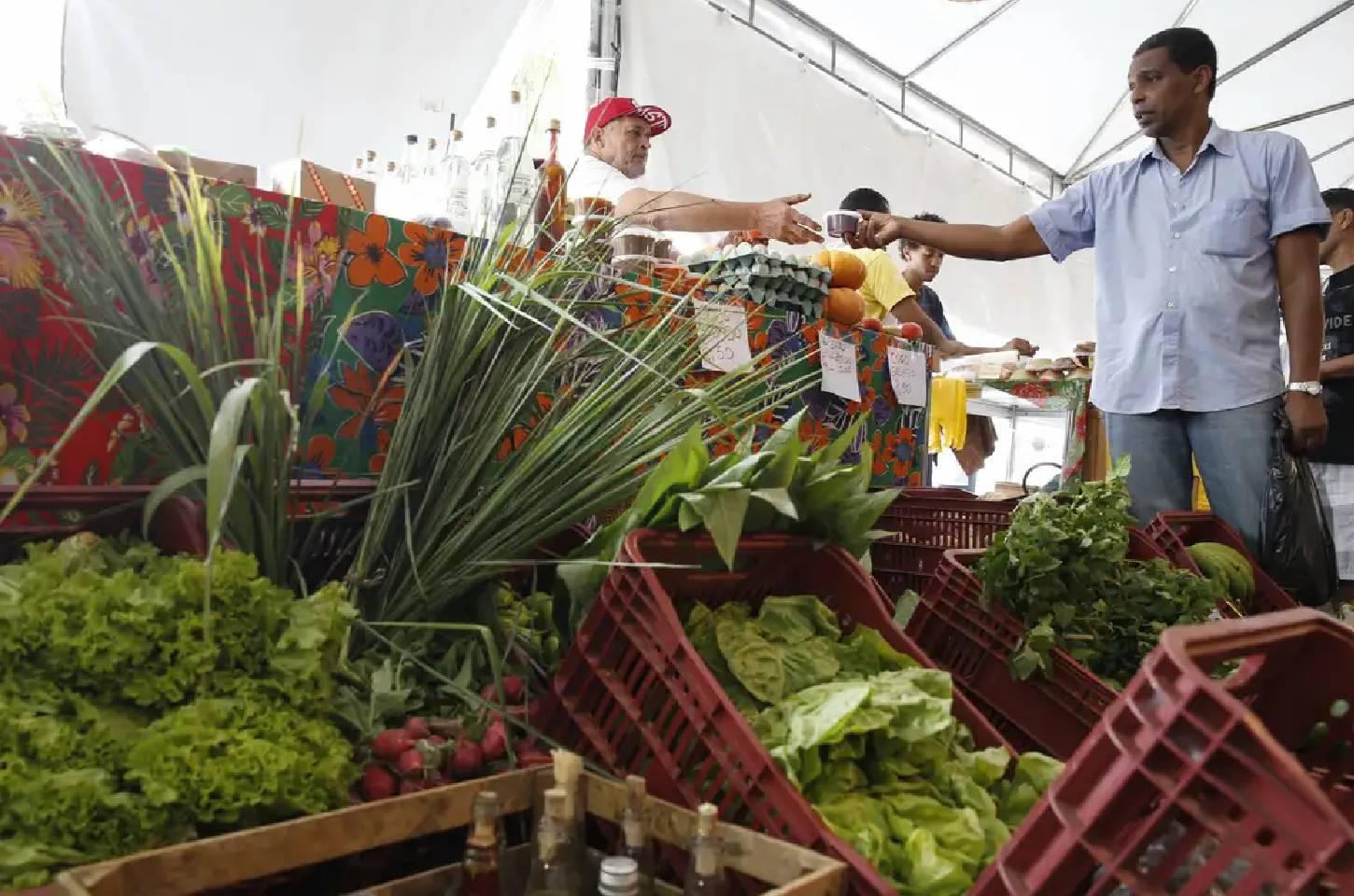 Decreto adia exigência de CNPJ para autônomos e produtores rurais
