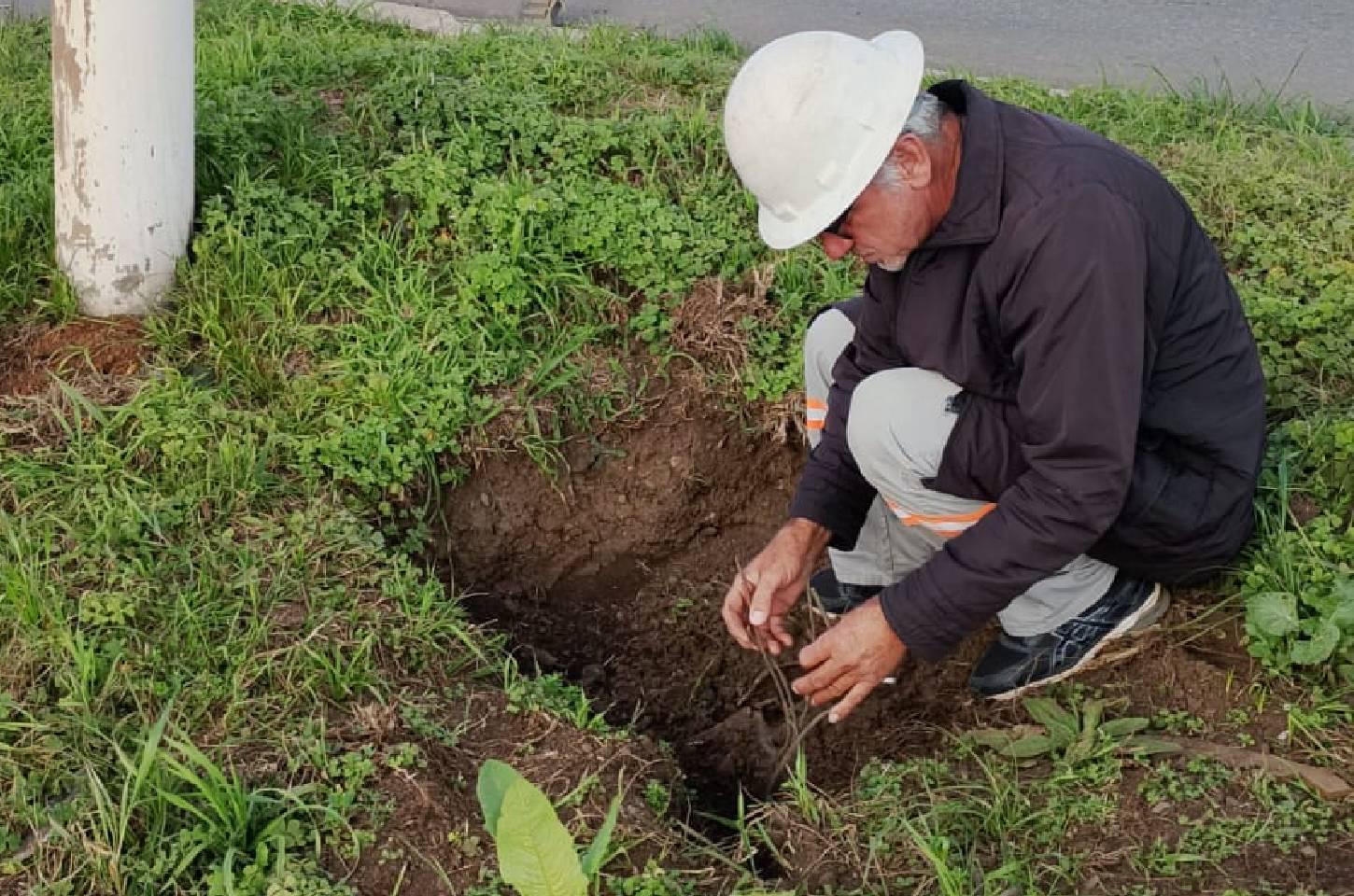 Prefeitura realiza reparos após furto de cabos na rede de iluminação pública