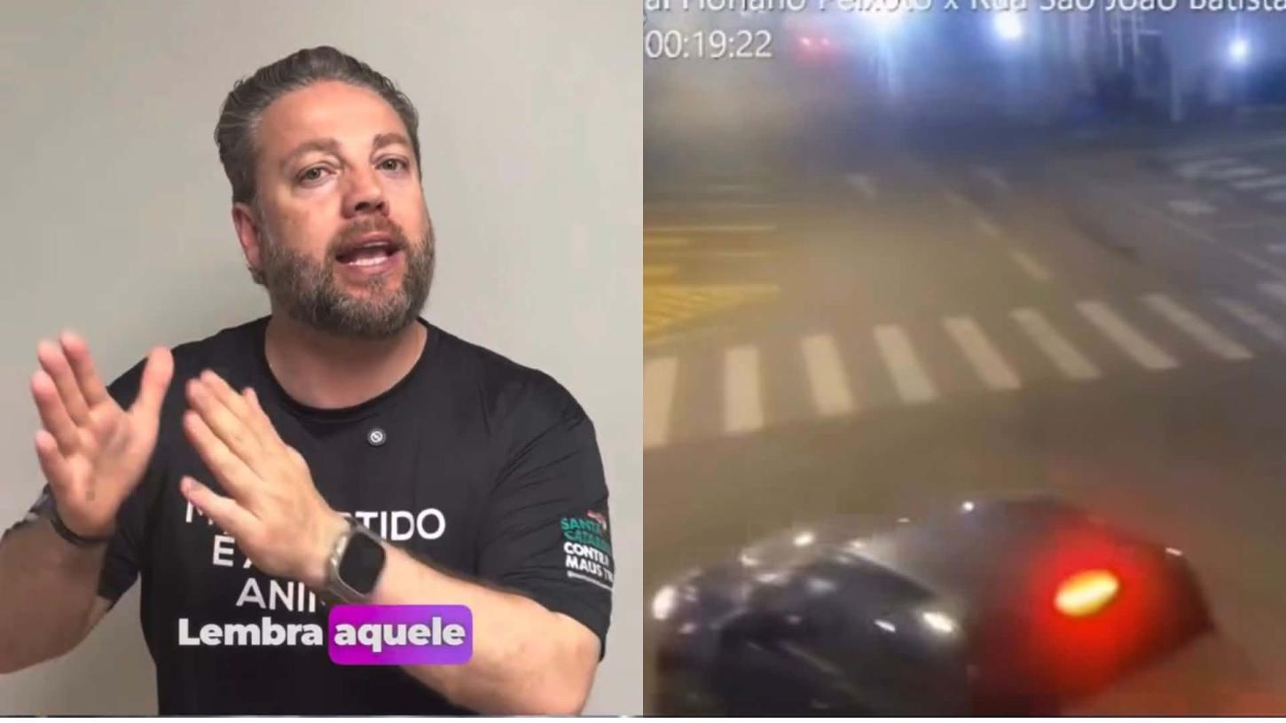 Cinco cães, uma caminhonete e muitas perguntas