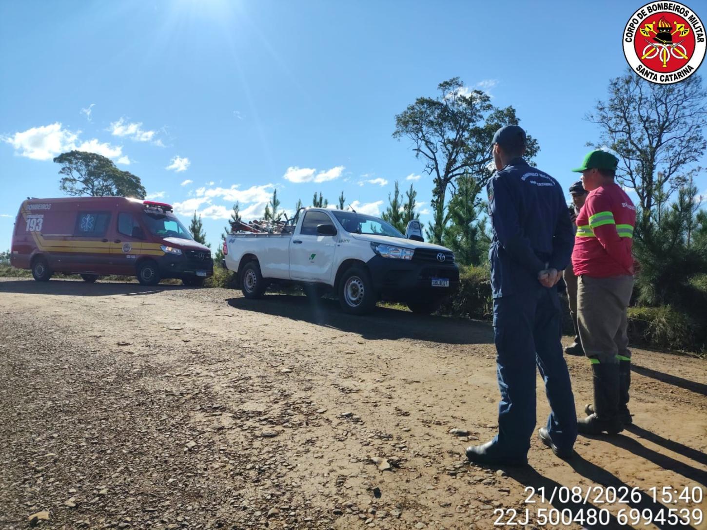 Enxame de abelhas ataca seis trabalhadores durante serviço em Monte Carlo