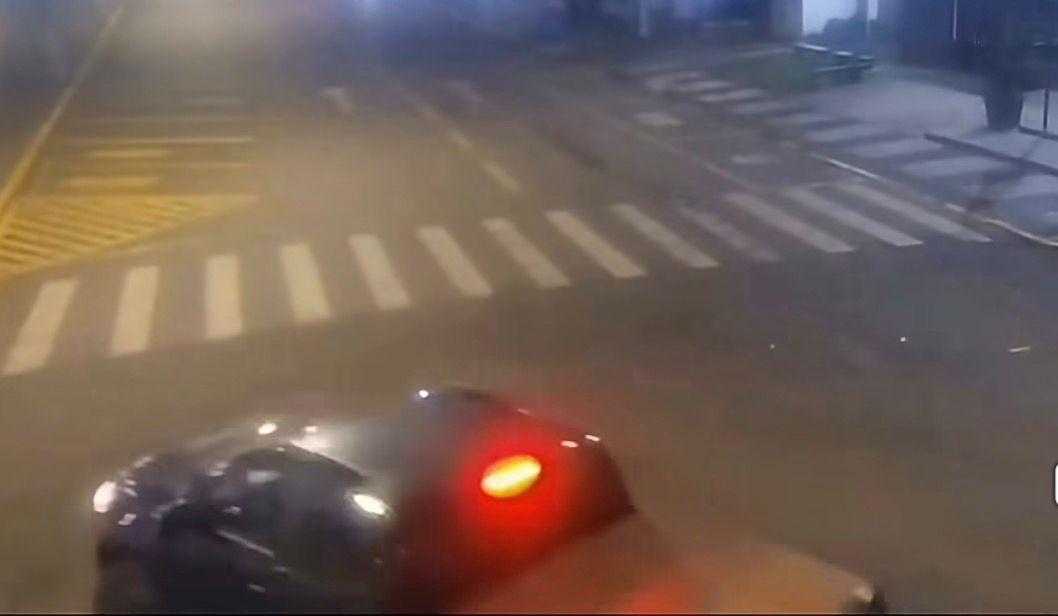 Veículo da Prefeitura de Campos Novos foi usado para transportar cães comunitários posteriormente abandonados, aponta Polícia Civil