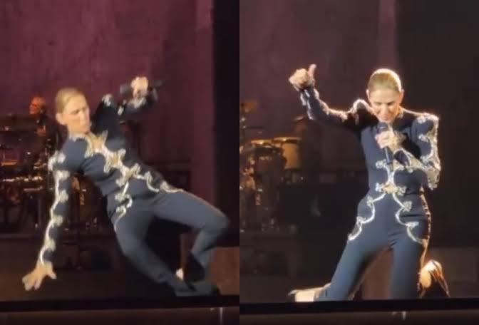 Céline Dion leva tombo durante show e reage com bom humor