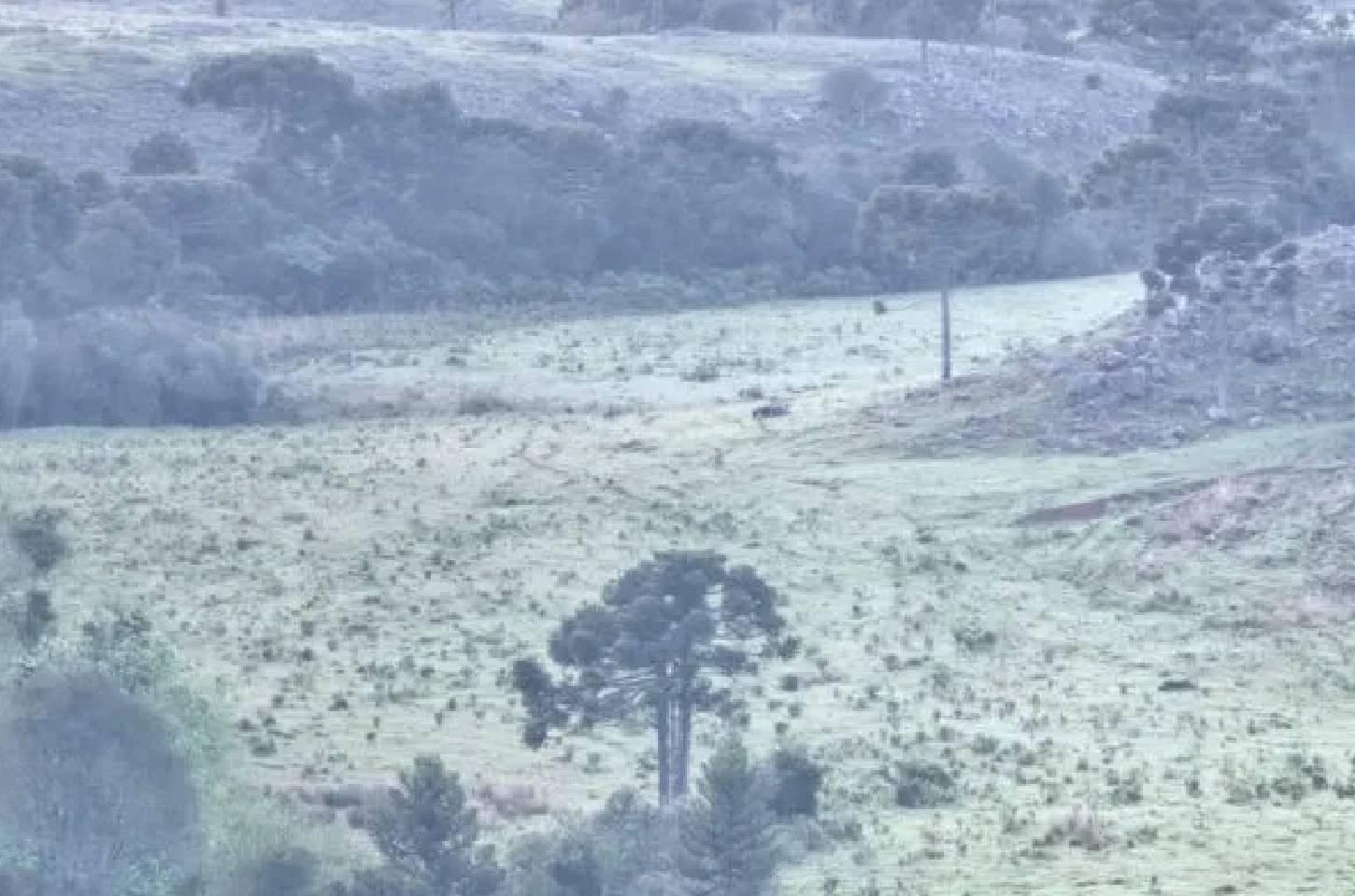Região mais fria do Brasil amanhece com -2°C e paisagens congeladas em plena primavera